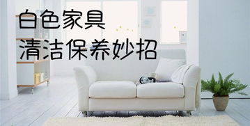 白色家居養護指南 從日常清潔到深層維護的完整攻略
